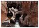 Thumbnail-9
