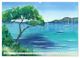 Thumbnail-8
