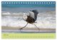 Thumbnail-9