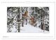 Thumbnail-14