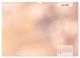 Thumbnail-11