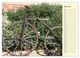 Thumbnail-8