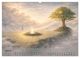 Thumbnail-9