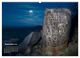 Thumbnail-14