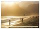 Thumbnail-13