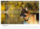 Thumbnail-12