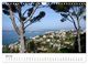 Thumbnail-11