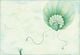 Thumbnail-8