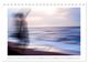 Thumbnail-14