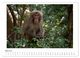 Thumbnail-9