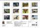 Thumbnail-10