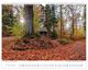 Thumbnail-10