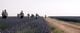 Thumbnail-11