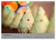 Thumbnail-14