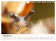 Thumbnail-13