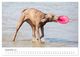 Thumbnail-14