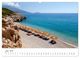 Thumbnail-11