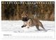 Thumbnail-13