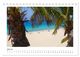Thumbnail-9
