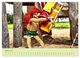 Thumbnail-9