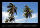 Thumbnail-11