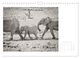 Thumbnail-14