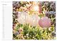 Thumbnail-12