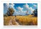 Thumbnail-14