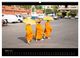 Thumbnail-8