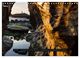 Thumbnail-8