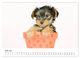 Thumbnail-8