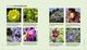 Thumbnail-8