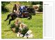 Thumbnail-8