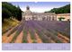 Thumbnail-12