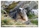 Thumbnail-9