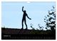 Thumbnail-12