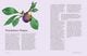 Thumbnail-10