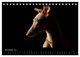 Thumbnail-13