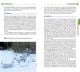 Thumbnail-10