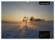 Thumbnail-14