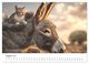 Thumbnail-10