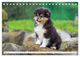 Thumbnail-9