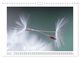 Thumbnail-11