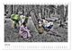 Thumbnail-12