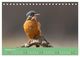 Thumbnail-12