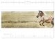 Thumbnail-14
