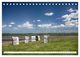 Thumbnail-13