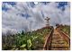 Thumbnail-12