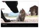 Thumbnail-13