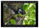 Thumbnail-11